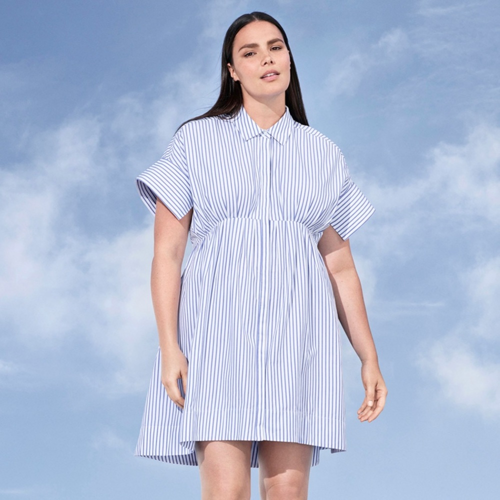 Victoria Beckham x Target Poplin Blue Stripe Dress